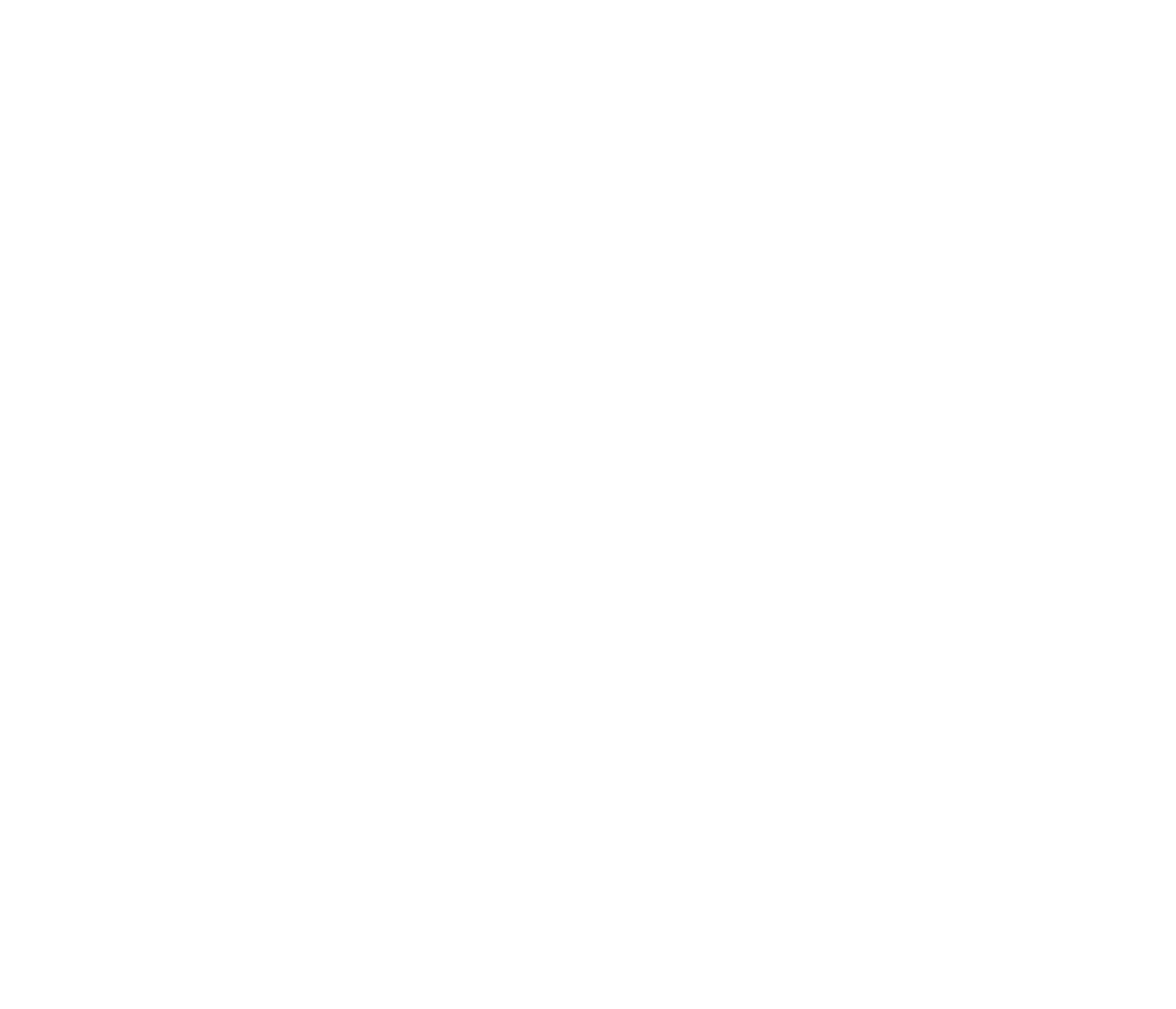 Black-Cat-1536x1318