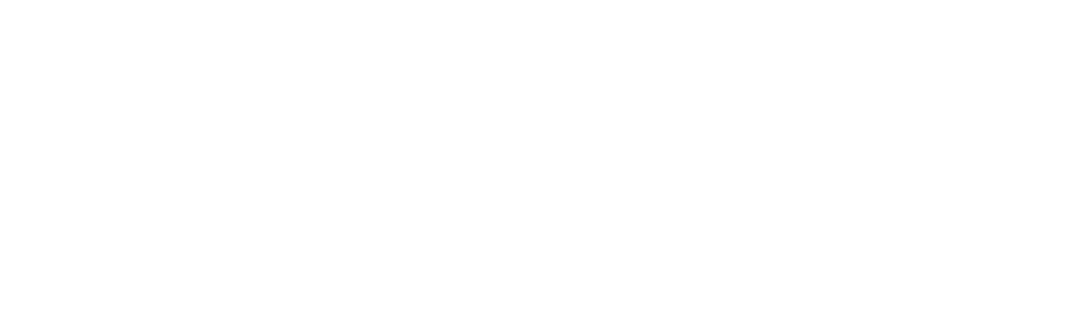 CALZA-1536x439